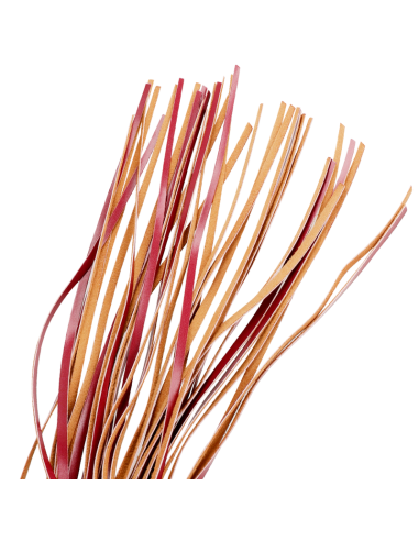 Fetish Submissive Dark Room - Látigo de Cuero Vegano para Juegos BDSM