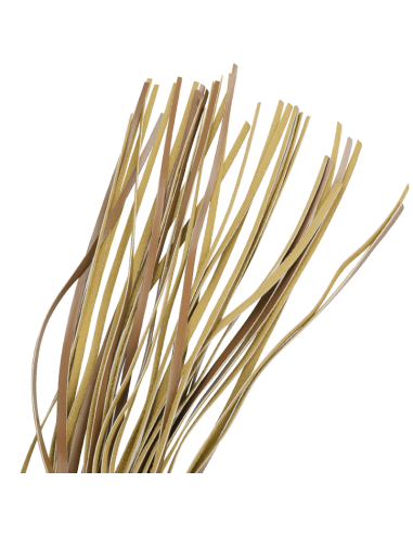 FETISH SUBMISSIVE ORIGEN - Látigo de Cuero Vegano para Juegos BDSM y Fetichistas