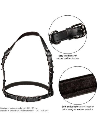 CALEXOTICS EUPHORIA Arnés Halter Plus Talla Grande Negro - Placer y Estilo Elegante