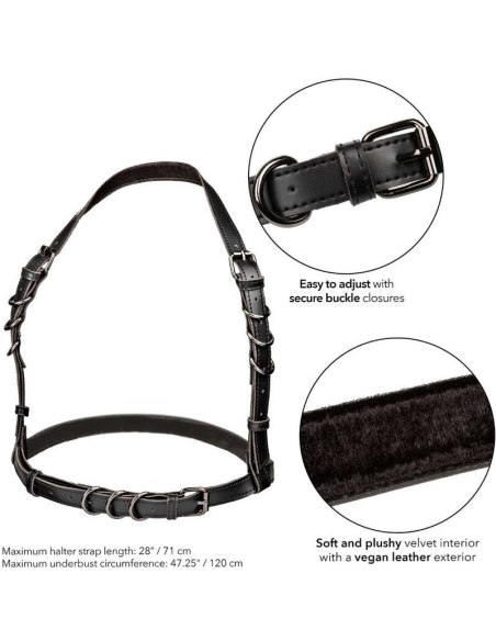 CALEXOTICS EUPHORIA Arnés Halter Plus Talla Grande Negro - Placer y Estilo Elegante