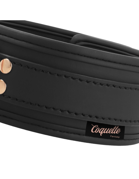 COQUETTE CHIC DESIRE - Fantasy Collar Con Correa | SexPlace.MX