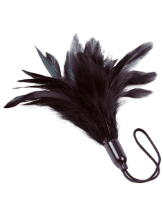 ADRIEN LASTIC - PRESTIGE Plumero Negro | SexPlace.MX