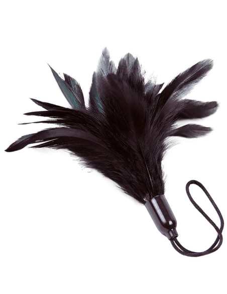 ADRIEN LASTIC - PRESTIGE Plumero Negro | SexPlace.MX