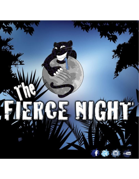 FIERCE GAME - JUEGO DE MESA THE FIERCE NIGHT: ¡Diversión, Atrevimiento y Perversión para tus Fiestas!