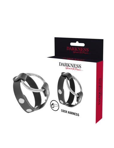DARKNESS - Anillo para Pene y Testículos BDSM | Placer Duradero y Sensaciones Intensas