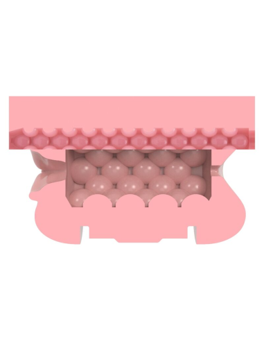 FLESHLIGHT - QUICKSHOT LADY & BUTT Masturbador Doble | SexPlace.MX