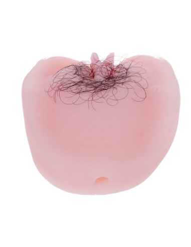 Baile - Anthea Magic Flesh Vibrator Pussy | Masturbador Realista con Vibración y Penetración Anal