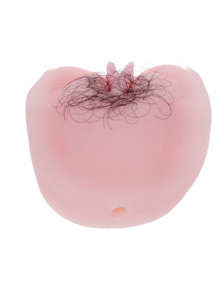 Baile - Anthea Magic Flesh Vibrator Pussy | Masturbador Realista con Vibración y Penetración Anal