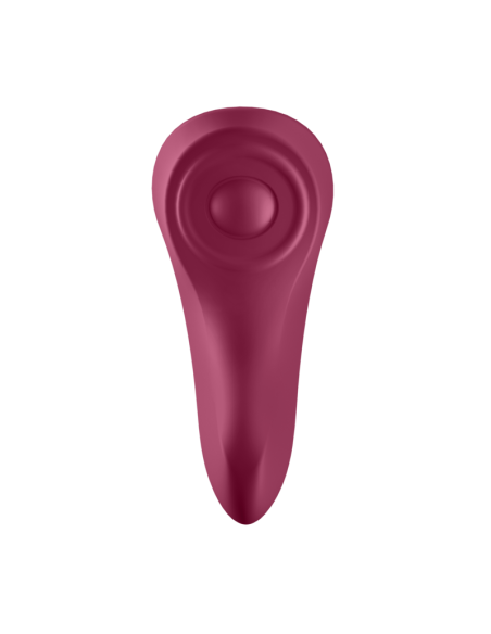 SATISFYER - SEXY SECRET PANTY | SexPlace.MX