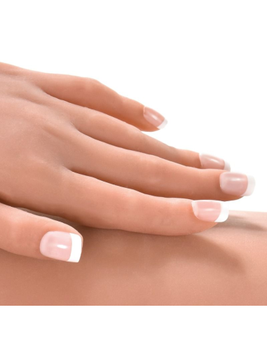 EXTREME TOYZ - PIPEDREAM ULTIMATE FANTASY DOLL KITTY | SexPlace.MX