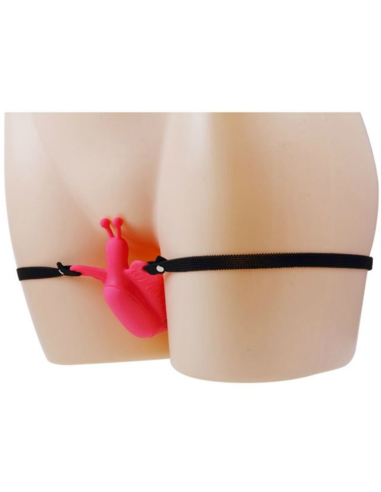 BAILE - ULTRA PASSIONATE ARNES MARIPOSA Control Remoto | SexPlace.MX