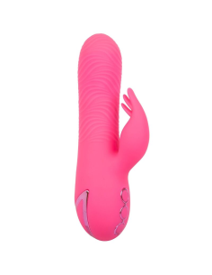 CALEXOTICS - SACRAMENTO SWEETIE Vibrador Conejito Rosa | SexPlace.MX
