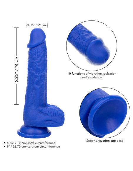 CALEXOTICS Admiral Sailor Dildo Realista Vibrador Azul | 10 Funciones de Placer, Impermeable y Recargable