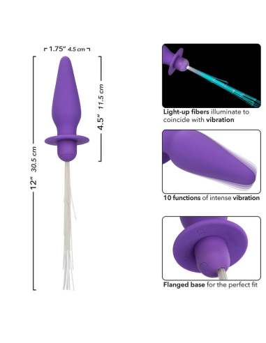 CALEXOTICS - SOUTHERN LIGHTS LIGHT UP PLUG ANAL CON LUCES 10 VIBRACIONES SILICONA VIOLETA