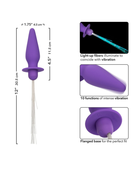 CALEXOTICS - SOUTHERN LIGHTS LIGHT UP PLUG ANAL CON LUCES 10 VIBRACIONES SILICONA VIOLETA