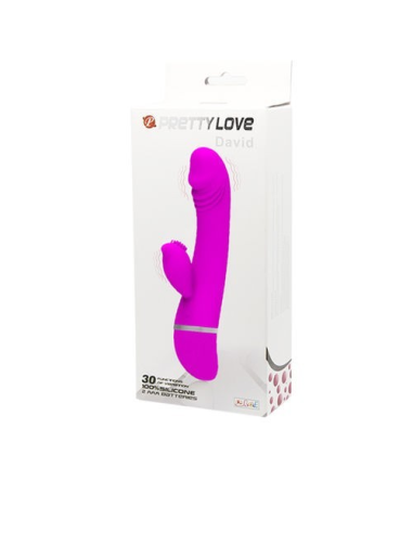 Pretty Love Flirtation Vibrador Rabbit David