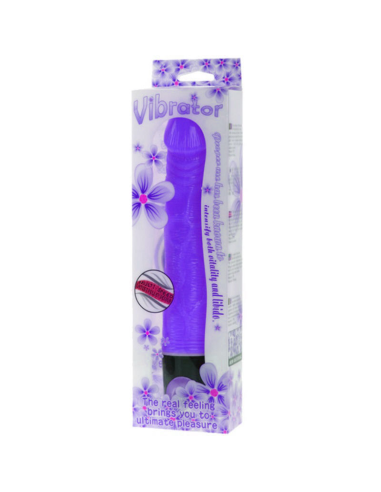 BAILE - VIBRATOR MULTISPEED 21.5 CM MORADO