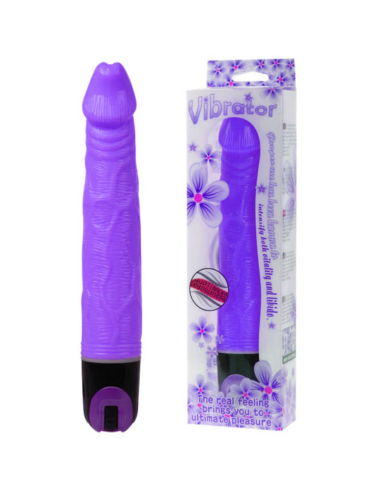 BAILE - VIBRATOR MULTISPEED 21.5 CM MORADO