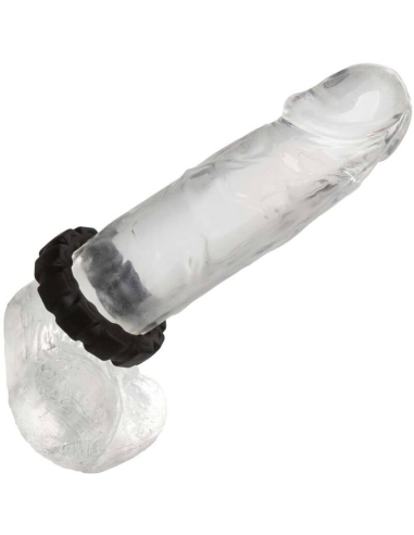 CALEXOTICS - ALPHA ANILLO PROLONG BANDA DE RODADURA NEGRO