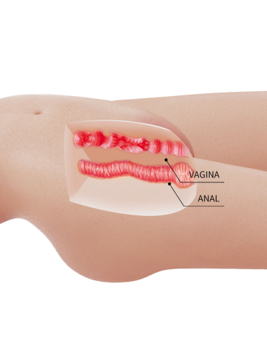 CRAZY BULL - MIA TORSO FEMENINO REALISTA VAGINA Y ANAL 8.5 KG