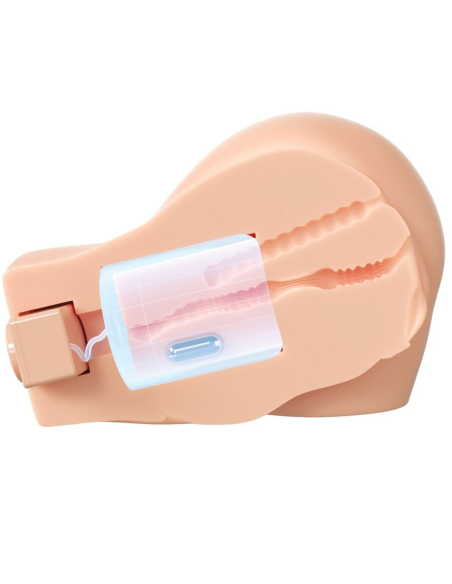 PDX ELITE - BACK THAT ASS UP MASTURBADOR VAGINA Y ANO REALÍSTICO CON VIBRACIÓN