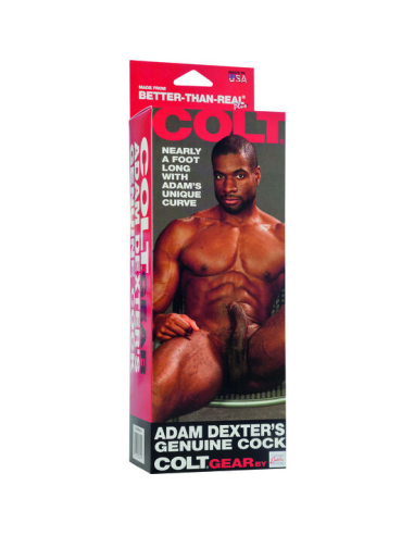 CALEXOTICS - COLT PENE REALÍSTICO ADAM DEXTER