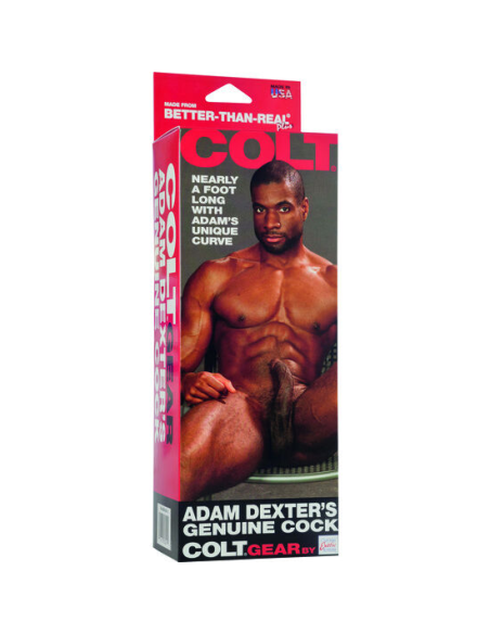 CALEXOTICS - COLT PENE REALÍSTICO ADAM DEXTER