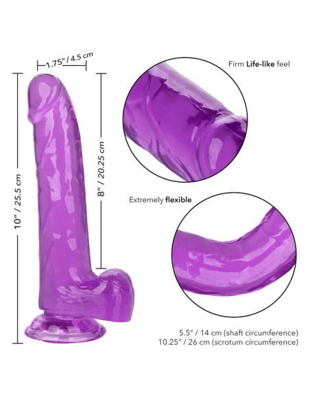 CALEXOTICS - SIZE QUEEN DILDO LILA 20.3 CM