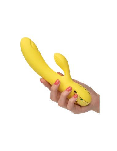 CALEXOTICS - SAN DIEGO SEDUCTION