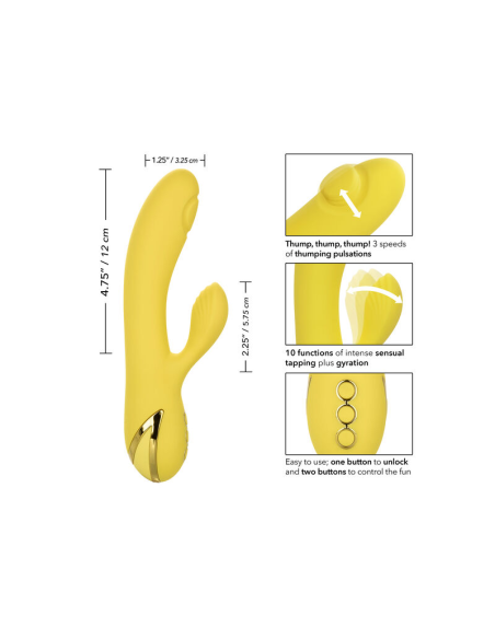 CALEXOTICS - SAN DIEGO SEDUCTION