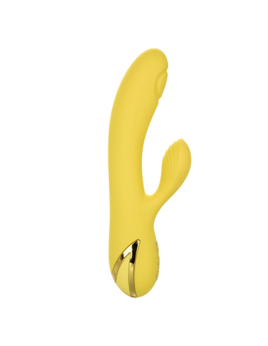 CALEXOTICS - SAN DIEGO SEDUCTION