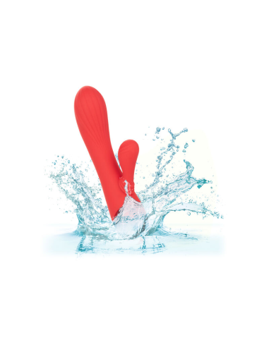 CALEXOTICS - PALISADES PASSION RED