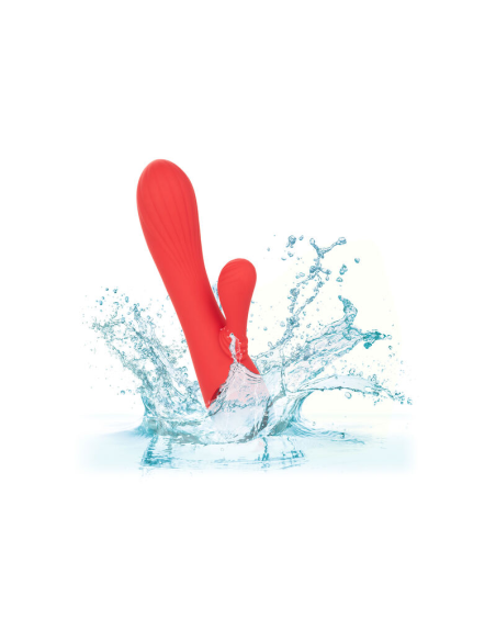 CALEXOTICS - PALISADES PASSION RED