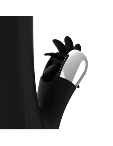 BLACKandSILVER - BUNNY STORM ROTATION VIBE