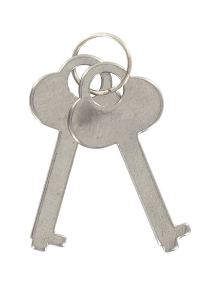 TOYJOY - ESPOSAS DEL AMOR AZULES