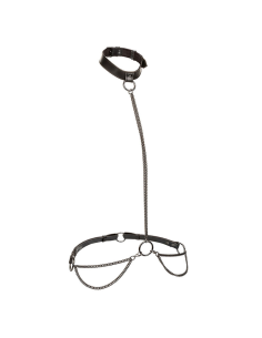 CALEXOTICS - EUPHORIA COLLAR HALTER Y CORREA CON CADENA