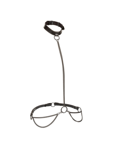 CALEXOTICS - EUPHORIA COLLAR HALTER Y CORREA CON CADENA
