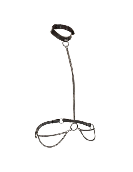 CALEXOTICS - EUPHORIA COLLAR HALTER Y CORREA CON CADENA