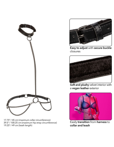 CALEXOTICS - EUPHORIA COLLAR HALTER Y CORREA CON CADENA