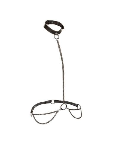 CALEXOTICS - EUPHORIA COLLAR HALTER Y CORREA CON CADENA TALLA PLUS