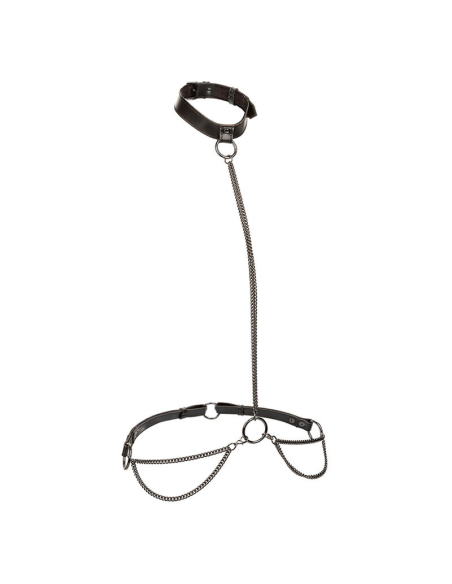 CALEXOTICS - EUPHORIA COLLAR HALTER Y CORREA CON CADENA TALLA PLUS