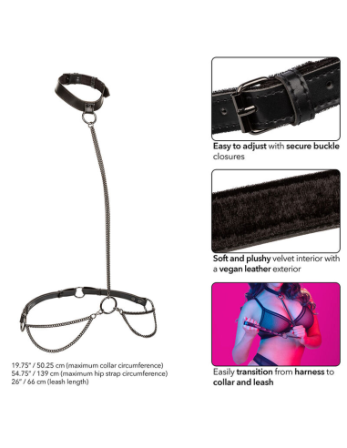CALEXOTICS - EUPHORIA COLLAR HALTER Y CORREA CON CADENA TALLA PLUS