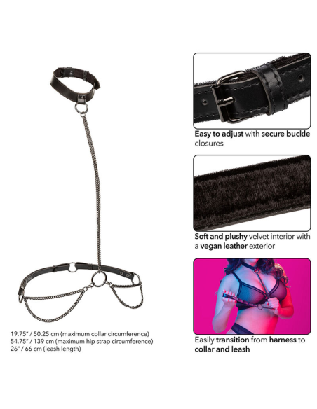 CALEXOTICS - EUPHORIA COLLAR HALTER Y CORREA CON CADENA TALLA PLUS