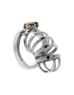 HIDDEN DESIRE - EXTREME JAULA DE CASTIDAD METAL