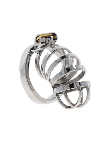 HIDDEN DESIRE - EXTREME JAULA DE CASTIDAD METAL