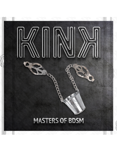 KINK - PINZAS PARA PEZONES CON CUBO PLATEADO