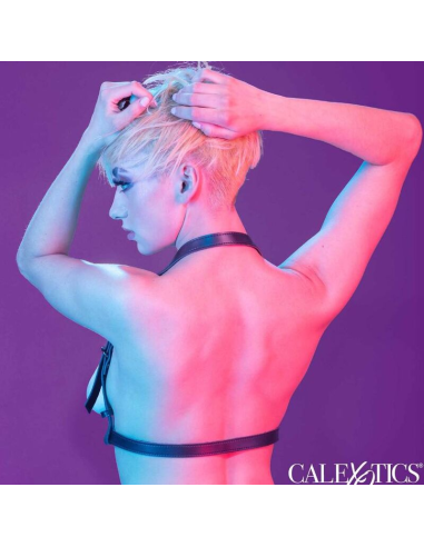 CALEXOTICS - EUPHORIA ARNÉS HATLER CON HEBILLA NEGRO