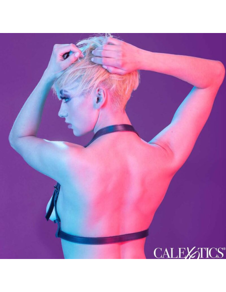 CALEXOTICS - EUPHORIA ARNÉS HATLER CON HEBILLA NEGRO