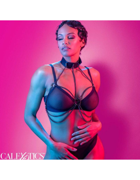CALEXOTICS - EUPHORIA ARNÉS DE CUELLO DE CADENA