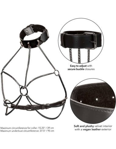 CALEXOTICS - EUPHORIA ARNÉS DE CUELLO DE CADENA